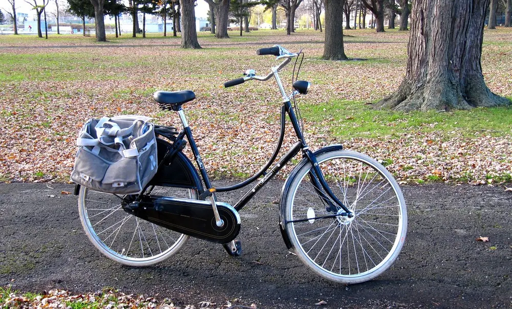 Bici olandese da passeggio
